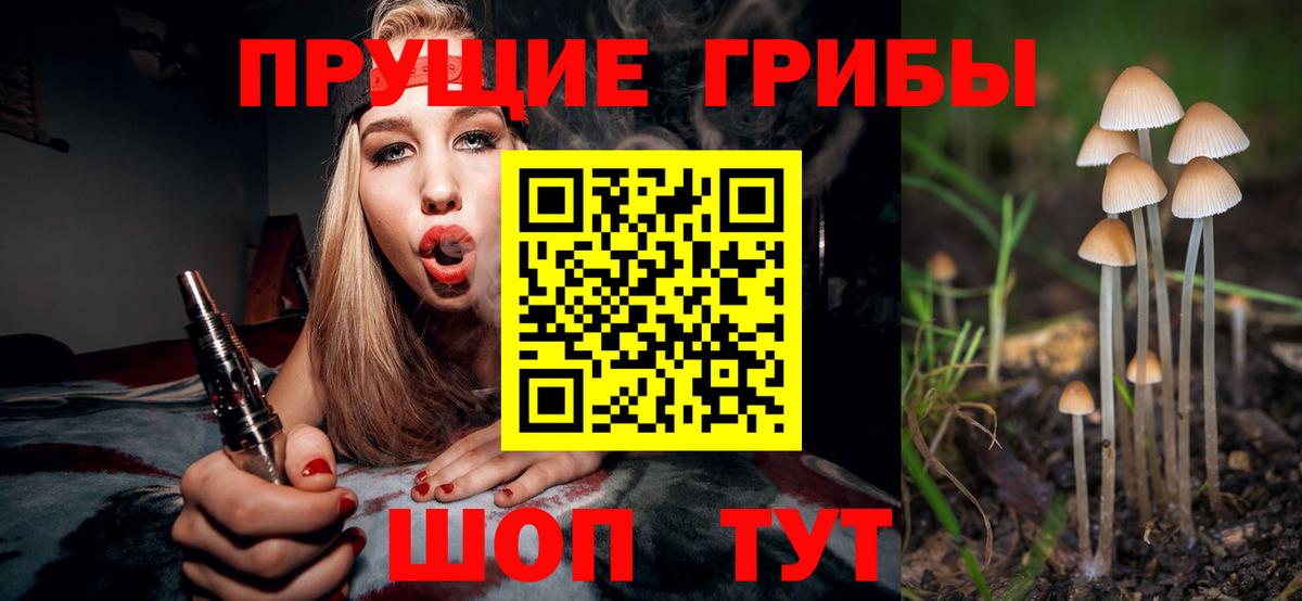 Псилоцибиновые грибы Cubensis  Вход с VPN  Нововоронеж 