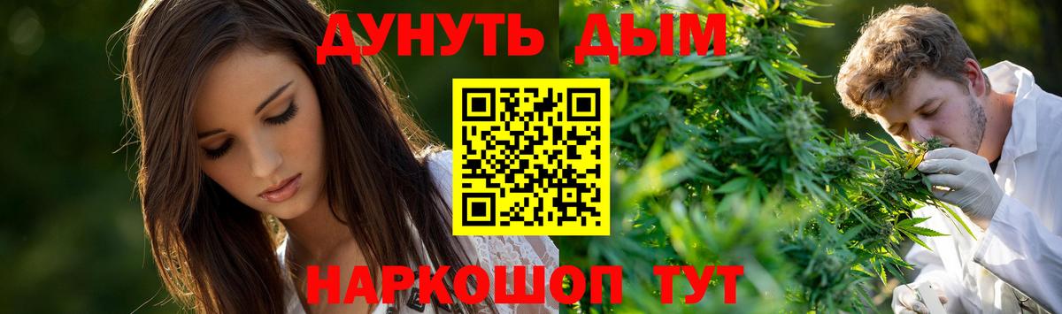 Каннабис сатива  Бошки Шишки планчик  Бошки марихуана AK-47  Марихуана Bruce Banner  Нововоронеж  Вход с VPN 